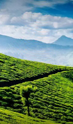 2021年1月20日风景留底