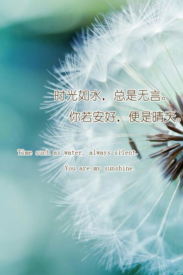 你若安好便是晴天