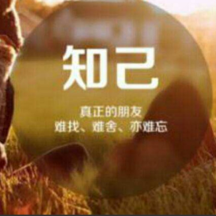 这才叫知己【感悟版】