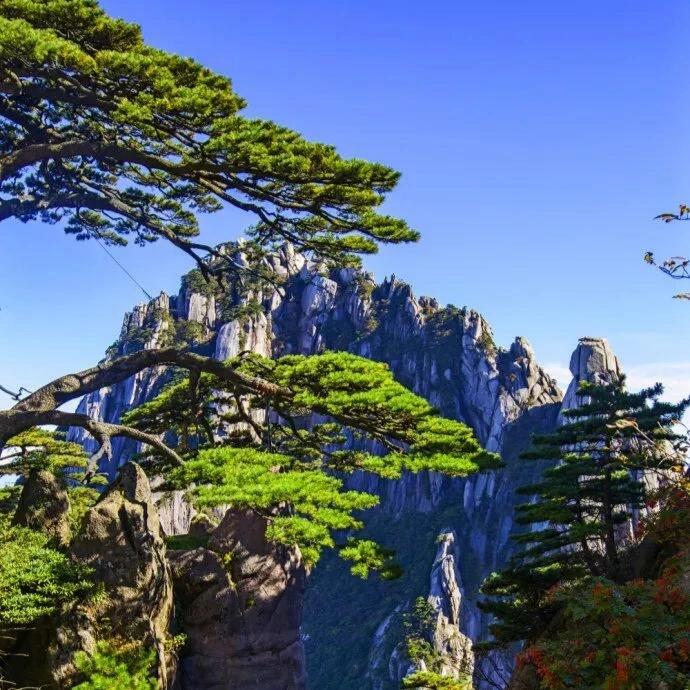 黄山,中国的大山之王,以其雄伟的气势,险峻的山峰,浩渺的云海,奔泻的