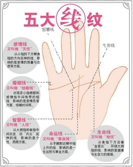 手相算命图解大全(教你怎么看手相算命)