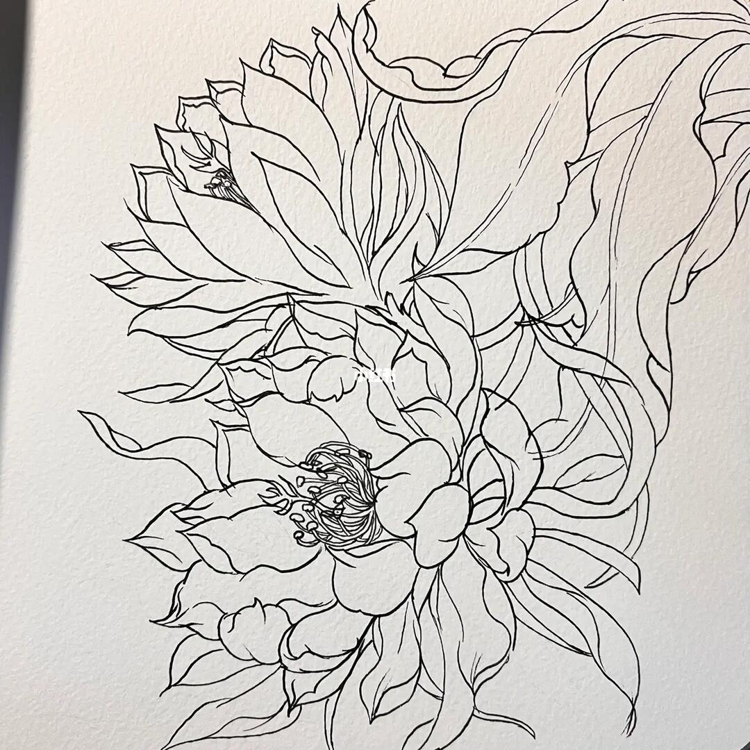 针管笔花卉昙花