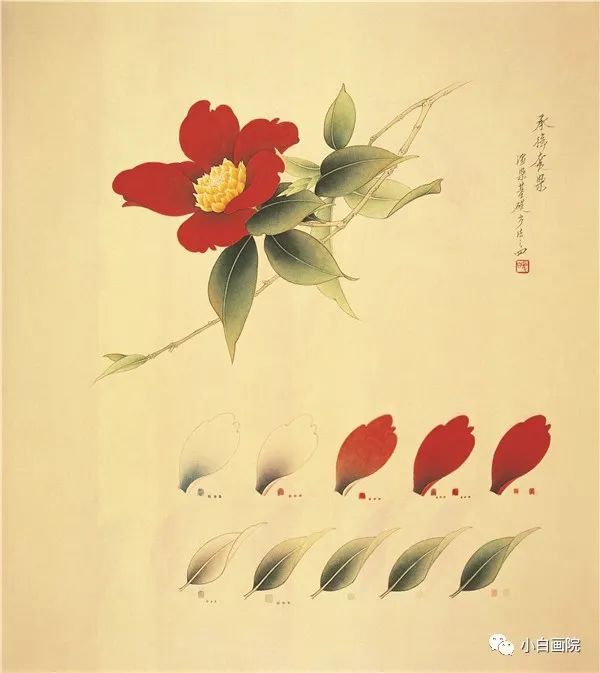 小白写意茶花作品欣赏李长白父子工笔茶花作品欣赏