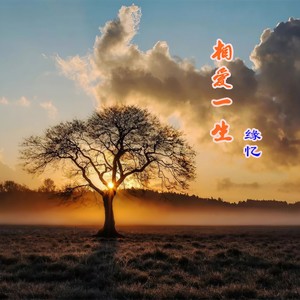 相爱一生