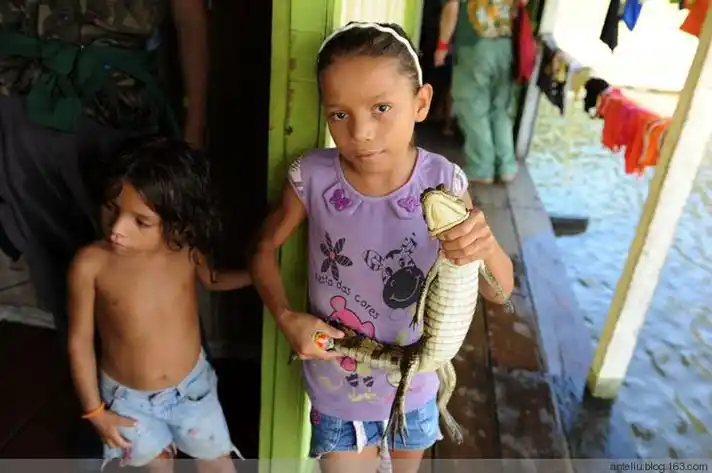 亚马逊河食人鱼:吃人十分钟后仅剩白骨一堆!