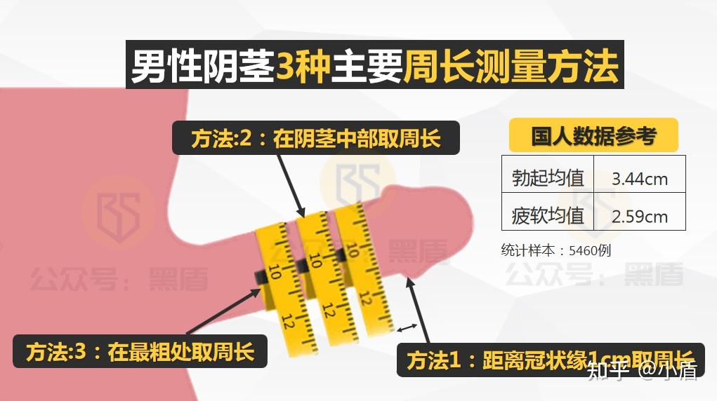 详细图示▕ 如何正确的测量丁丁尺寸?