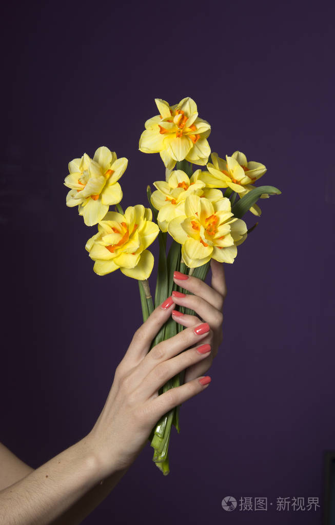 女人手里拿着一束花春天的花水仙女性假期