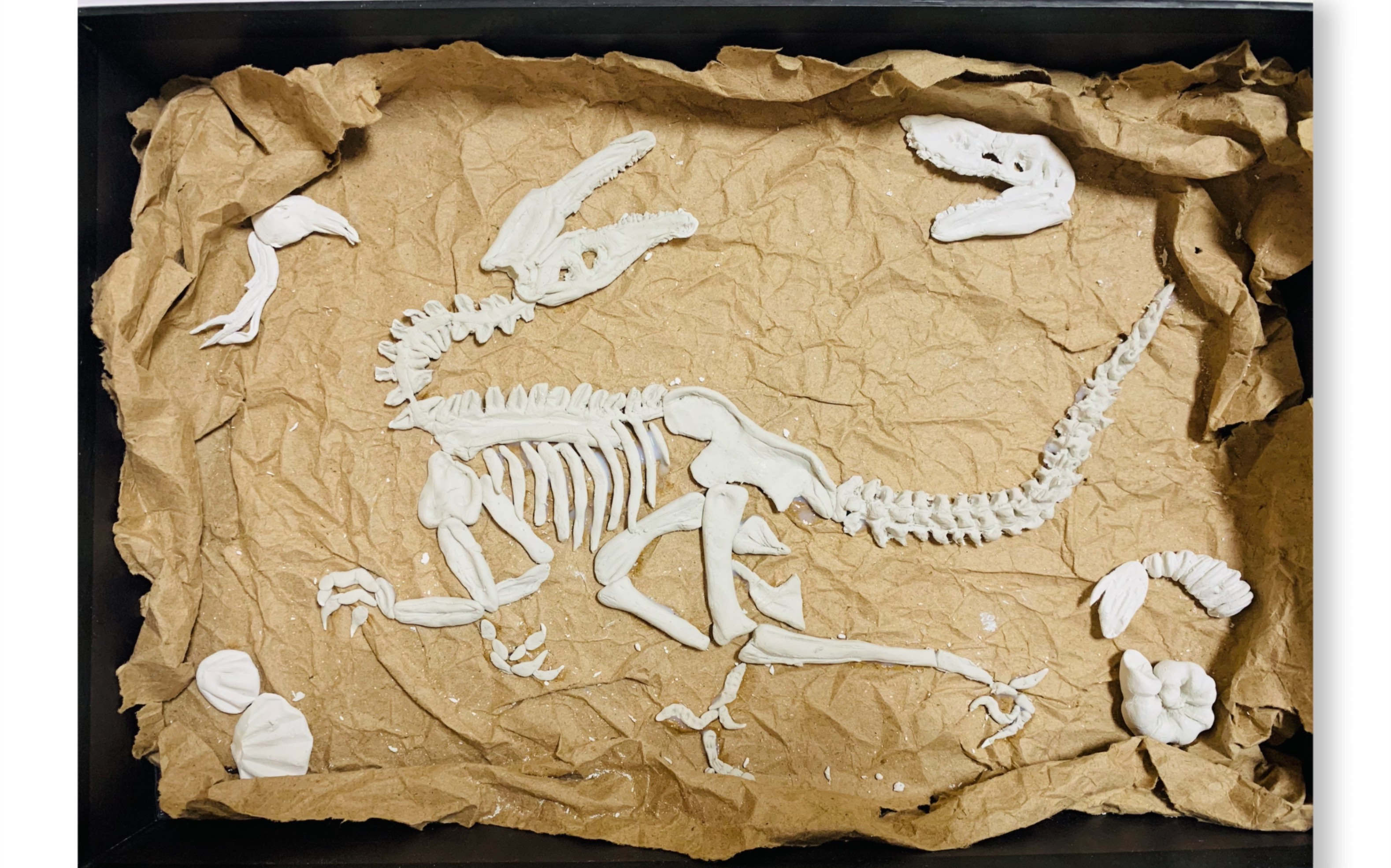 石塑粘土—恐龙化石_哔哩哔哩_bilibili