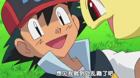 神奇宝贝:月桂叶对小智还是热情,但小刚和小光为何提到精灵球?