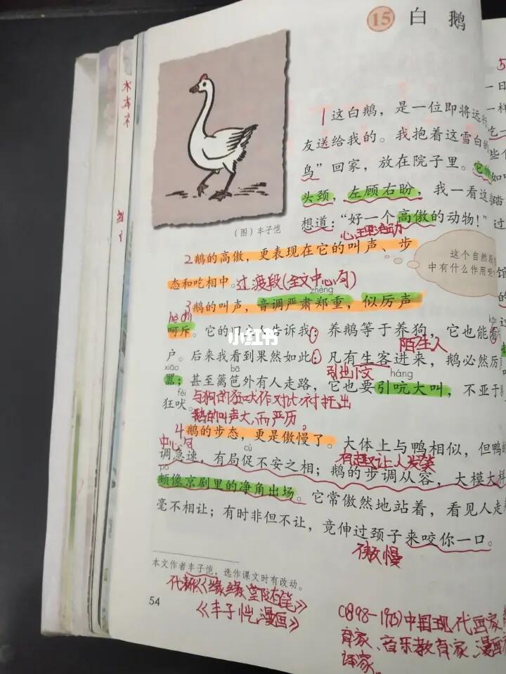 人教统编版四年级下册第15课白鹅