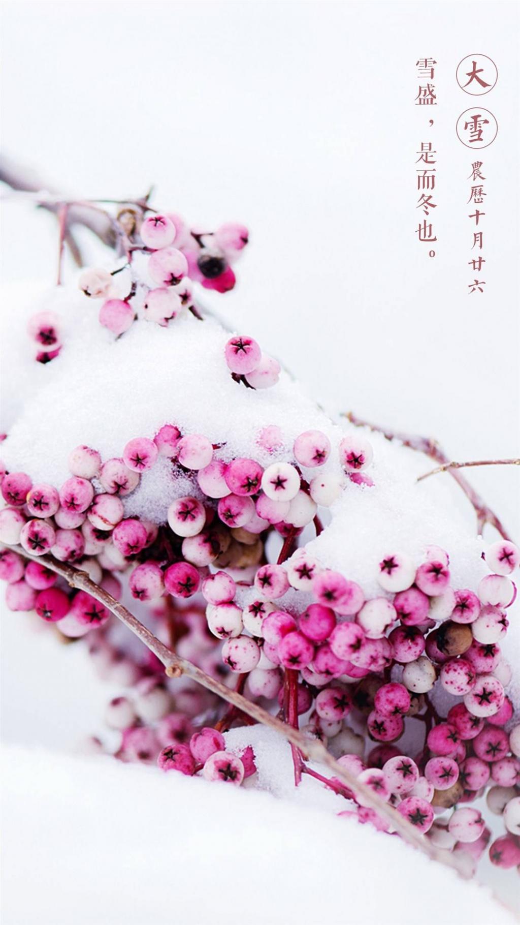 唯美古风二十四节气之大雪
