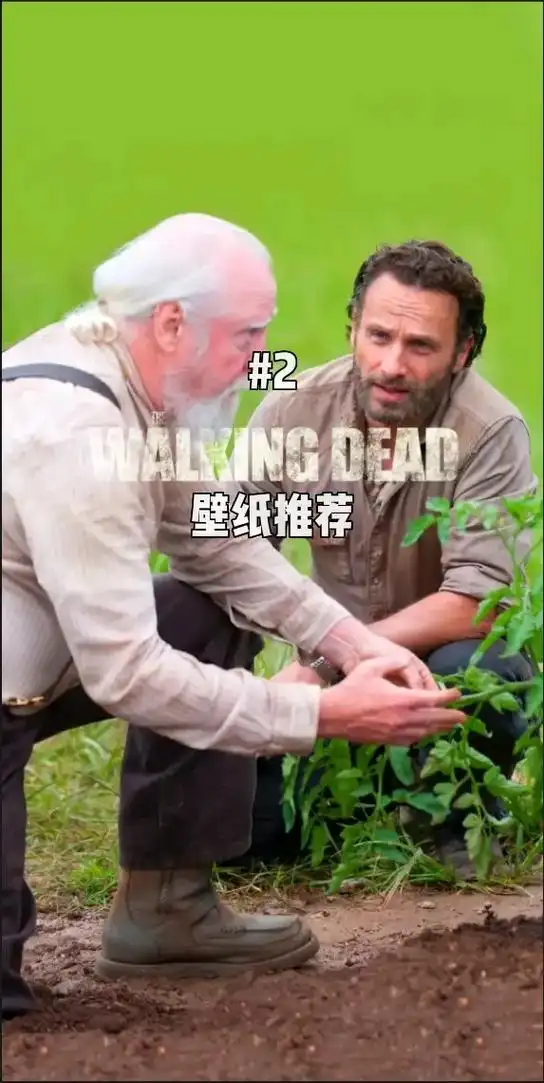 【twd】行尸走肉壁纸推荐#2.#行尸走肉 #丧尸 #瑞克  - 抖音