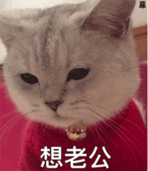 想老公(猫咪表情包)_老公_猫咪表情