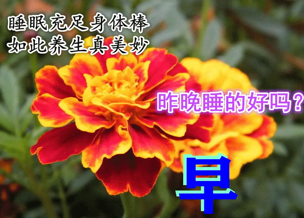 一句祝福,只有真诚的朋友常留心间;一声早安,愿好友开心一整天,幸福每