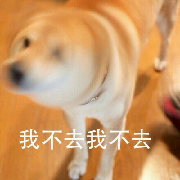 我不去我不去doge的内心独白doge汪星人表情