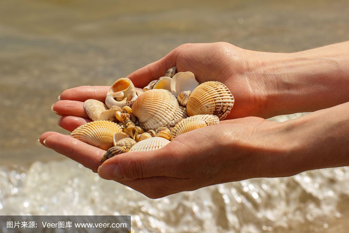 在海边的海滩上,一个女人手里拿着贝壳