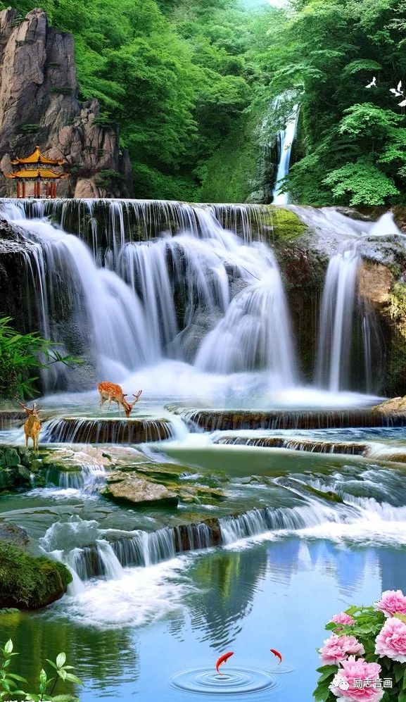 夕阳正红献给中老年人的一篇好文读完心情真顺畅