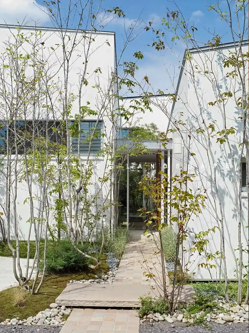 杂木景观设计中的"断舍离"—— 放弃了 - 抖音