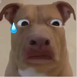 微信沙雕表情包都来瞧这个大冤种