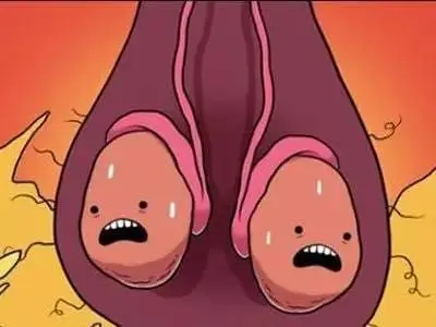 阴囊潮湿外洗经验方