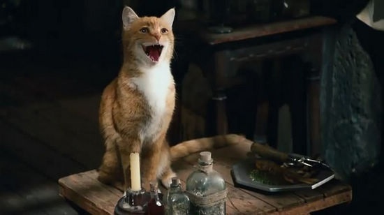 蓝妹妹蓝爸爸蓝小弟 《蓝精灵》全家大曝光