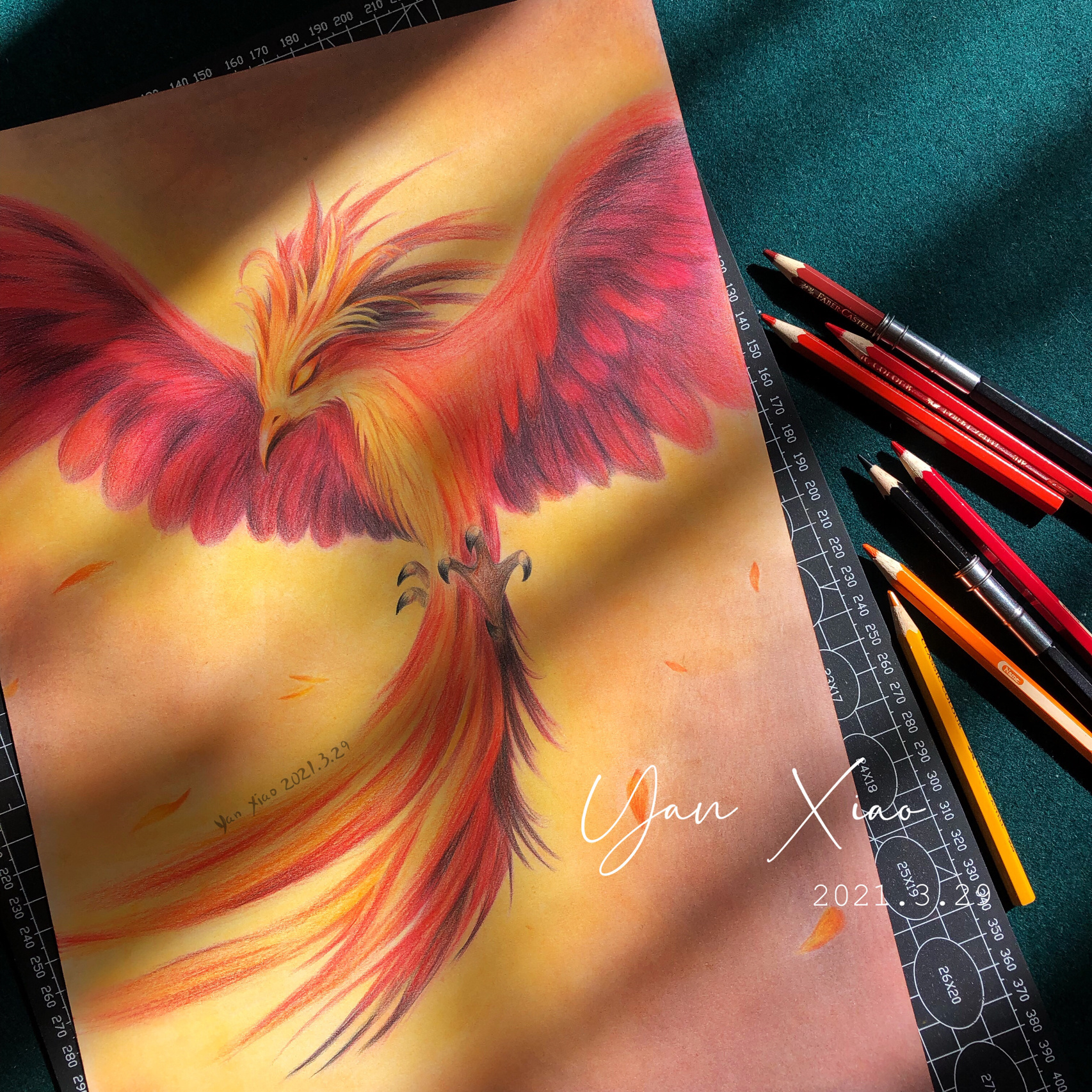 彩铅画 | 浴火重生 火凤凰 《凤凰涅槃》中说:"凤凰每500年自焚为灰烬