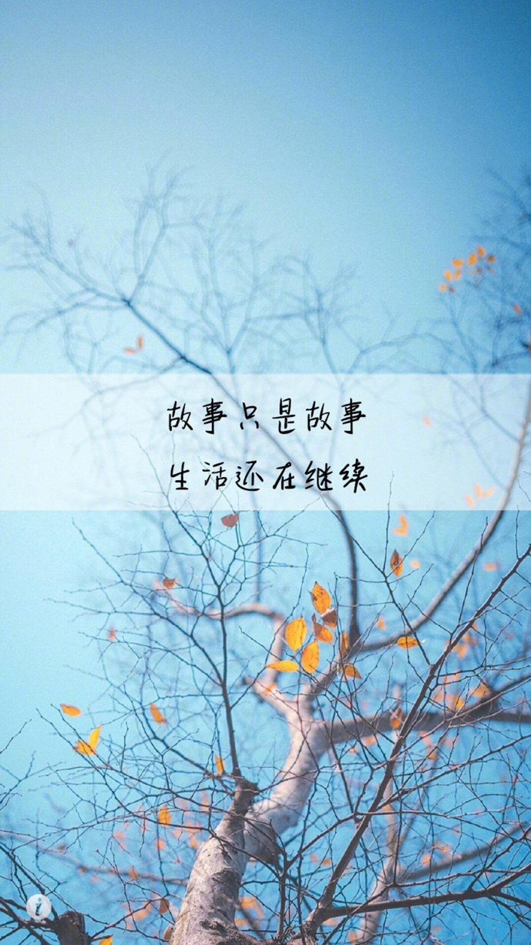 唯美文字语录图片手机壁纸