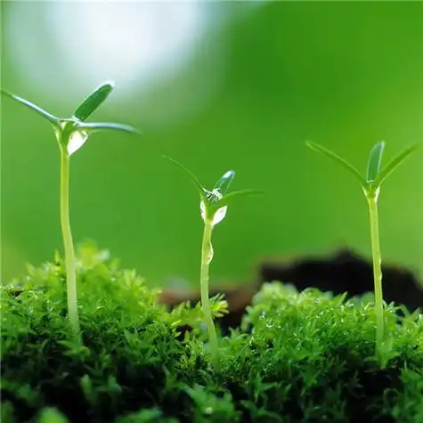 给人一种阳光的头像 高清好看充满阳光朝气的微信头像图片_微信头像