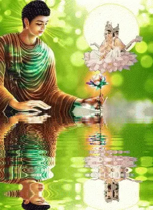 300_412竖版 竖屏gif 动态图 动图