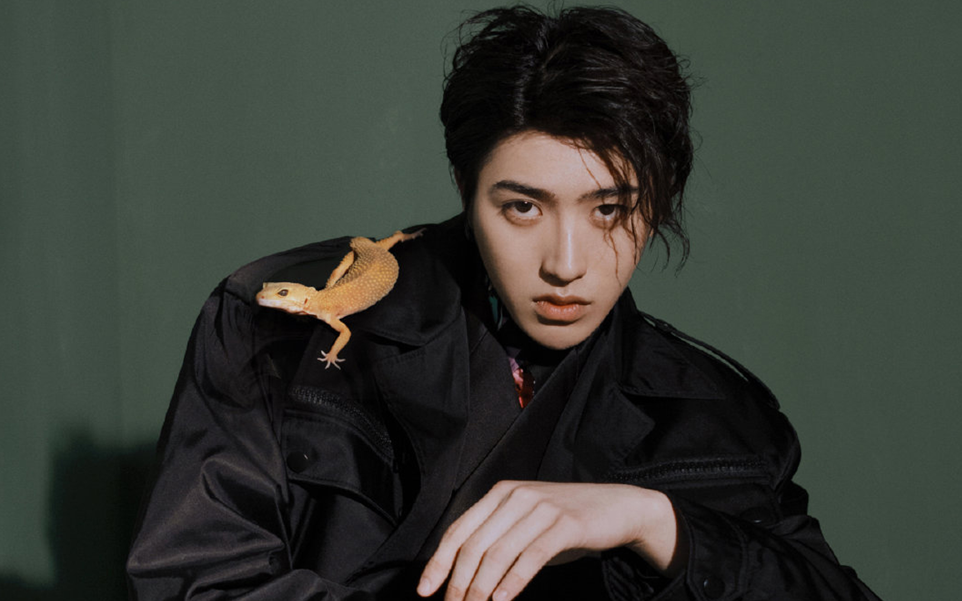 蔡徐坤杂志写真帅气高清壁纸图片