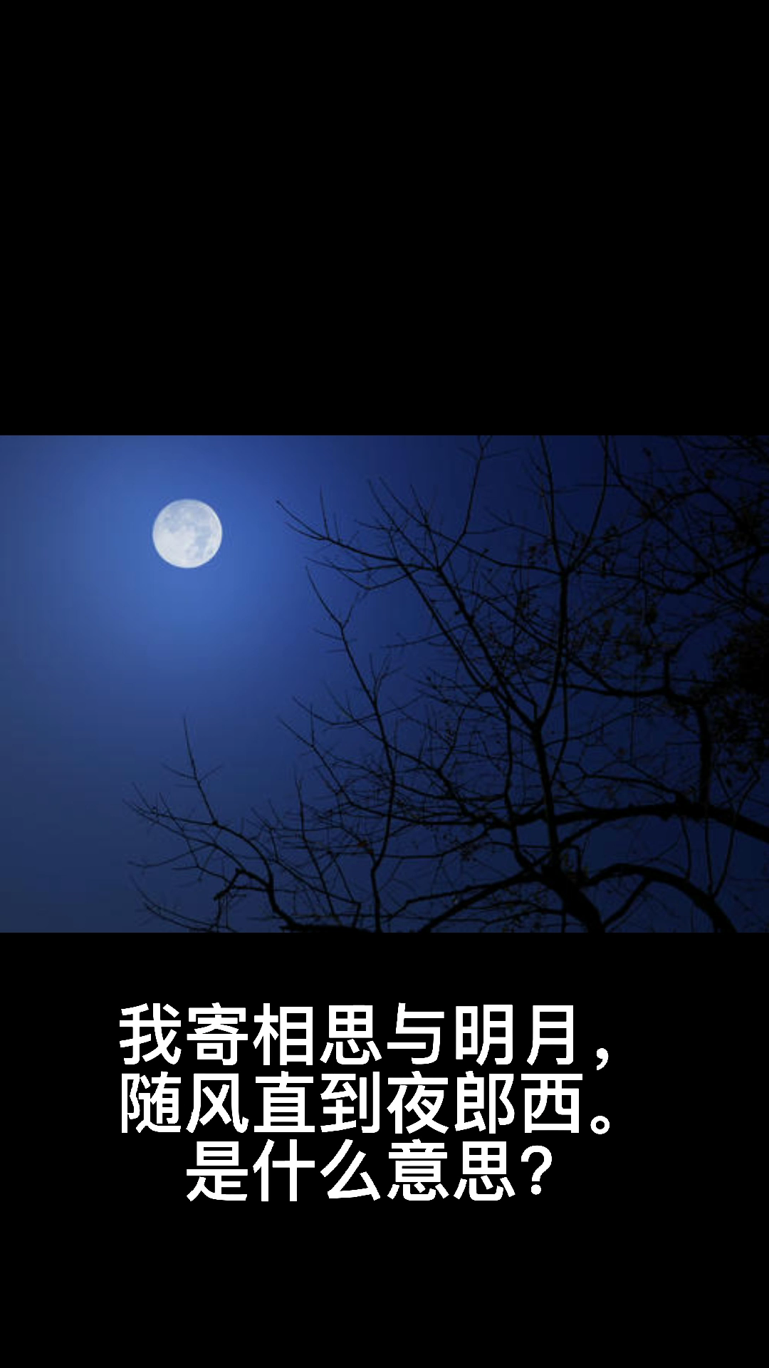 我寄相思与明月,随风直到夜郎西是什么意思