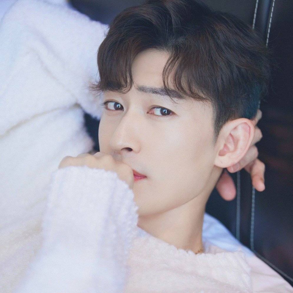 张翰你把小仙女弄丢了zs