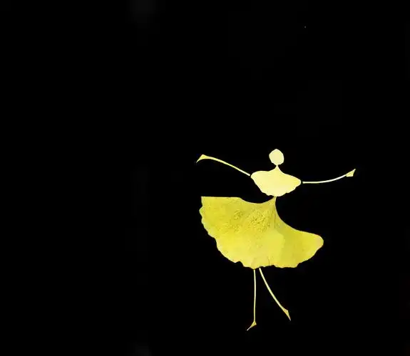 我的银杏叶摆拍