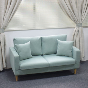 人双人两人二人位小型布艺沙发小户型北欧三休闲小沙发小客厅简约