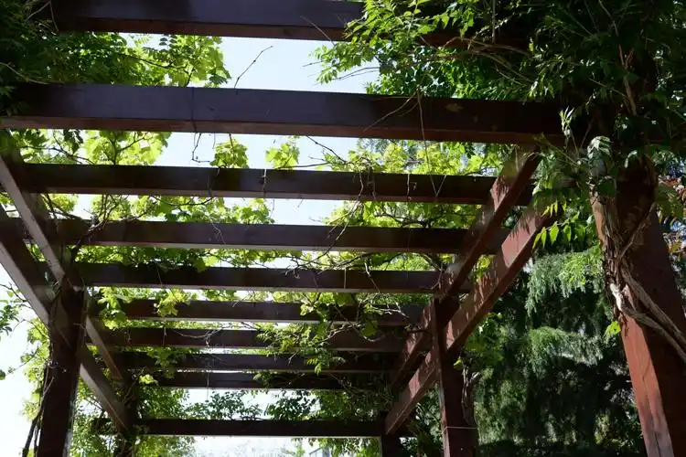 海泰庄园小区绿化景观掠影