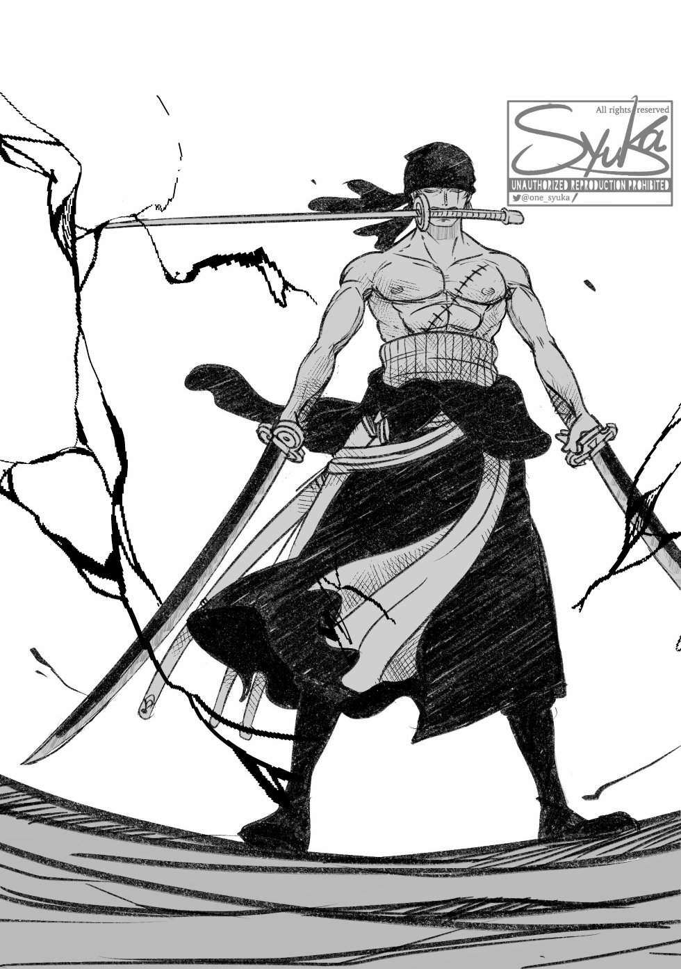 授权转载推特画师シュウカ新画作战斗的索隆