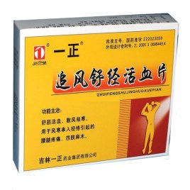 追风舒经活血片