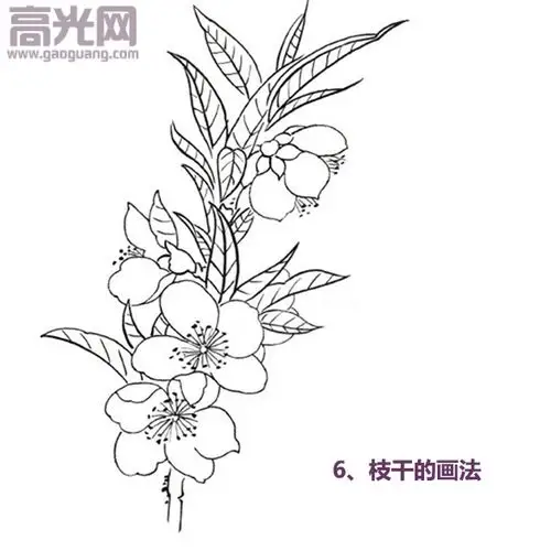 一步一步教你画花卉简单白描花卉图片大全