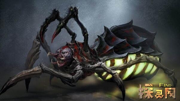 世界上最大的史前巨蜘蛛远古巨型蜘蛛吃恐龙