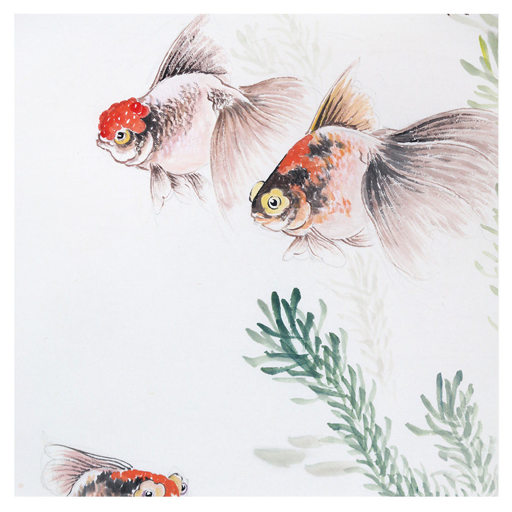 周克成 《悠然水中似神仙》 金鱼名家