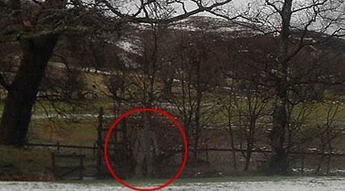 世界上真的存在幽灵吗?科学家征集"鬼"片