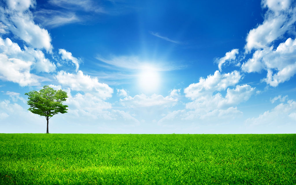 清澈的蓝天绿绿的草地,ps清爽图片背景素材