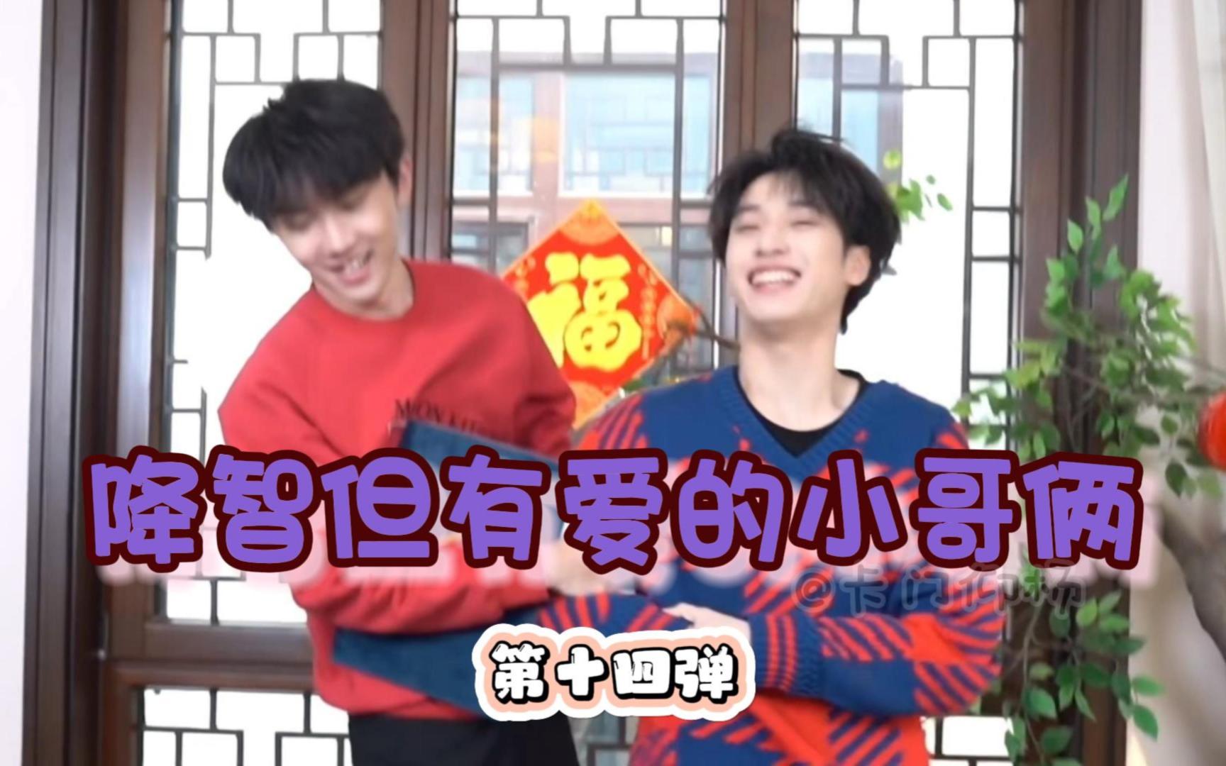 【马嘉祺】&【严浩翔】降智但有爱的小哥俩(第十四弹)