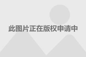 "雷霆之威"国王上线 在泰国当国王是种什么体验?
