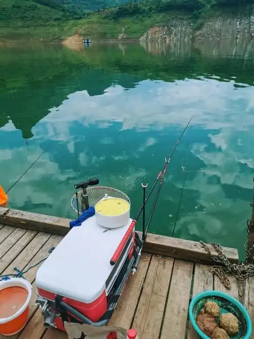 千岛湖羊里湾垂钓有感 - 美篇