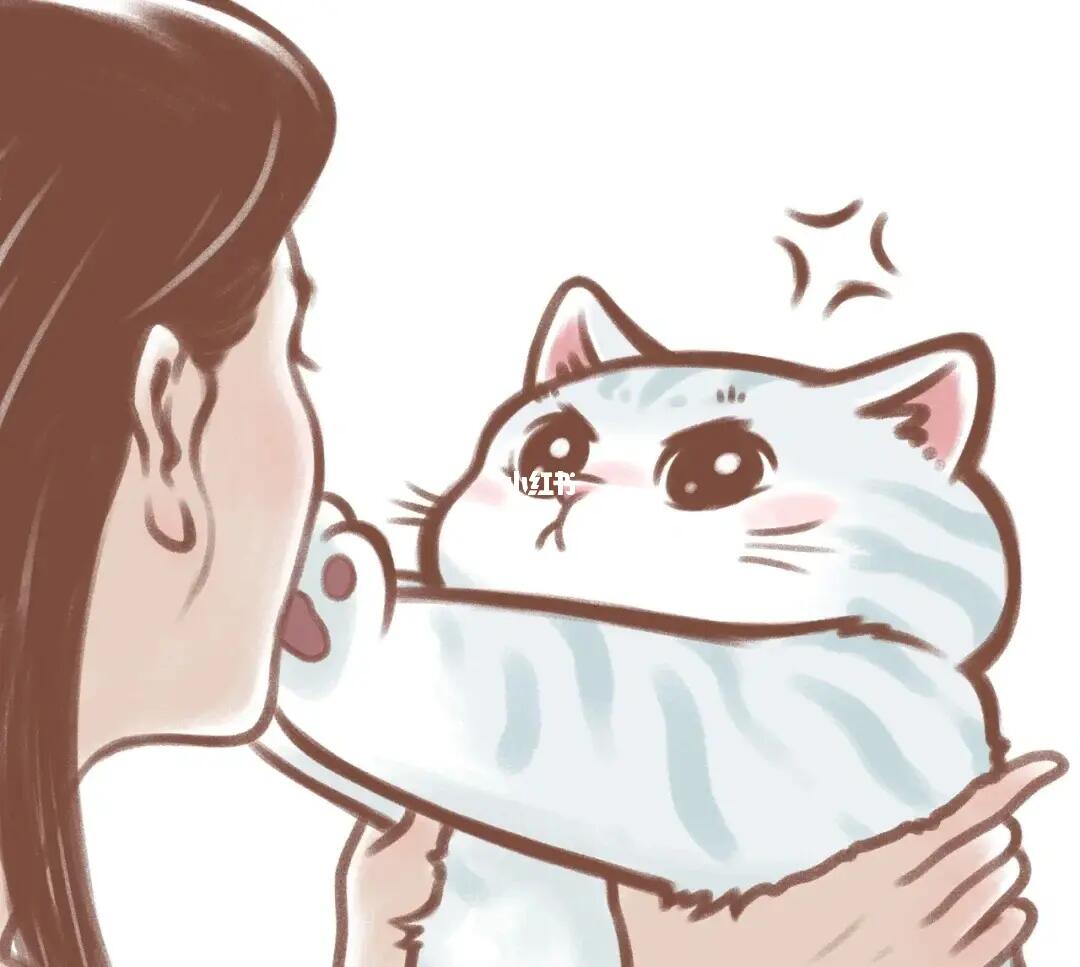 好想要银渐层啊