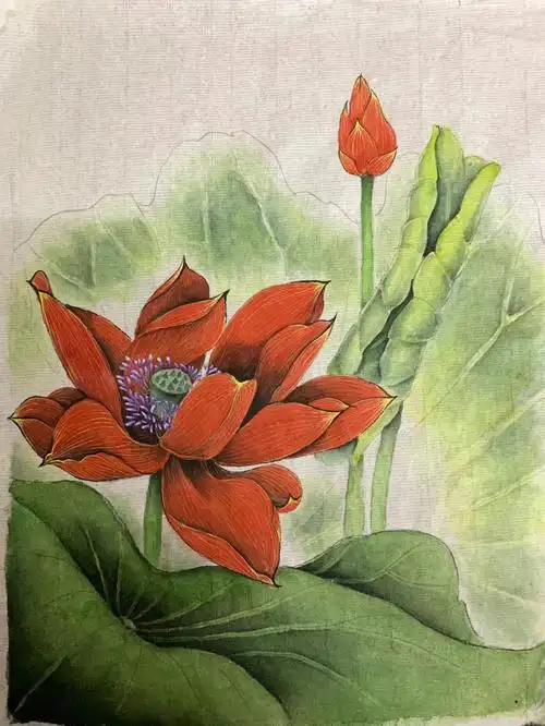 荷花  #国画花鸟  #工笔  #夏日荷花  #工筆  #工笔画  #国画工笔画