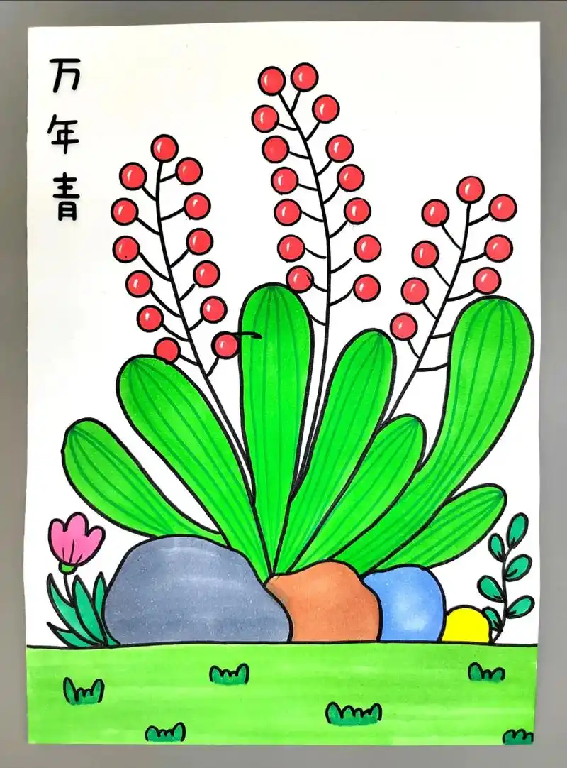 一起来画漂亮的万年青植物,简单好看,快来试试 - 抖音