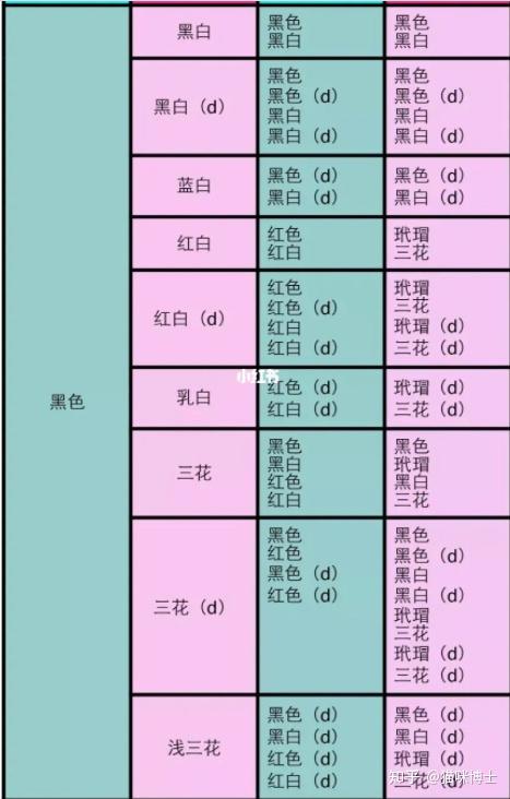 德文卷毛猫繁育颜色搭配,繁育配色表5 人赞同了该文章猫咪博士