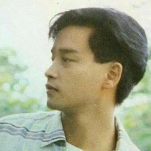 张国荣的侧脸真的太好看了!